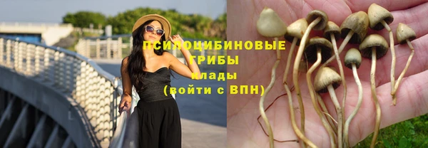 прущие крисы Абаза