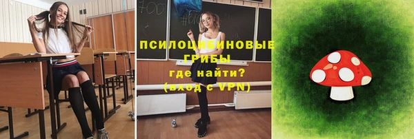 прущие крисы Абаза