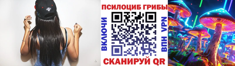 Галлюциногенные грибы Psilocybine cubensis  Черкесск 